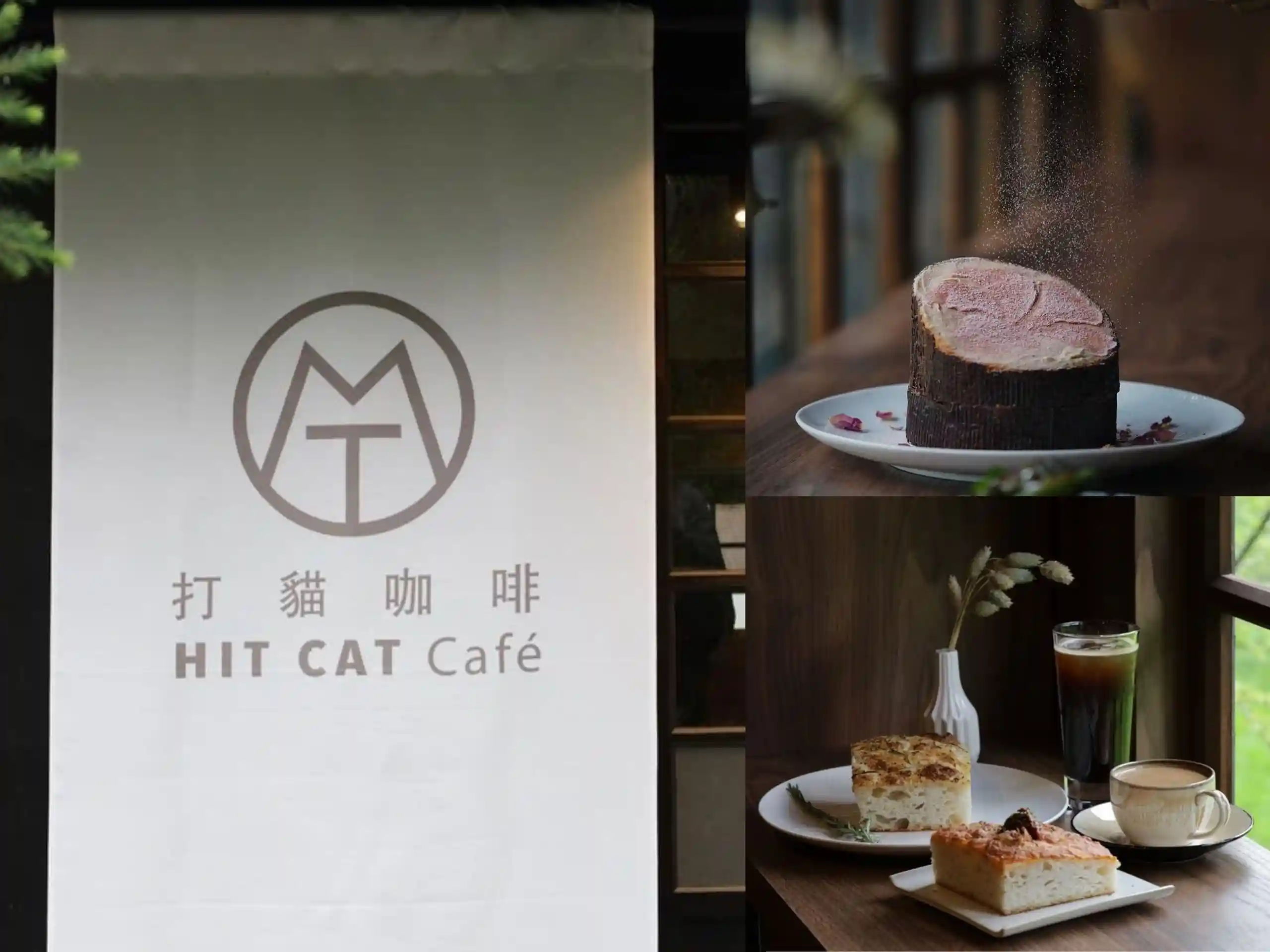 Hit Cat Café 打貓咖啡｜嘉義日式風格咖啡館