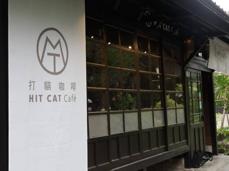 Hit Cat Café 打貓咖啡