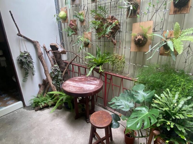 Mook木可餐行