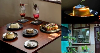 Wakamodog｜台南狗狗主題式甜點｜寵物友善店家