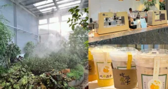 吃茶三千台灣概念店｜台中南屯區｜紅磚青瓦中的一杯好茶