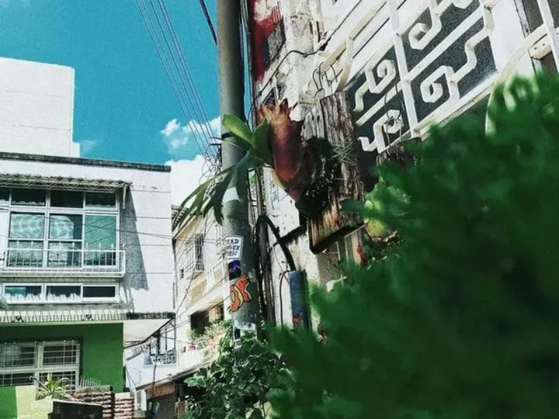 廢材俱樂部-01 授權者IG：cherry220_ig