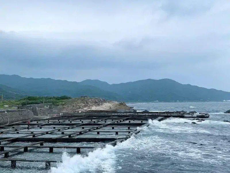 東北角海洋牧場-01 授權者IG：weiweilazy