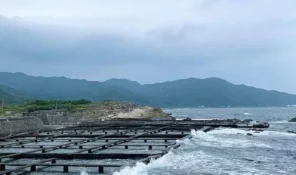 東北角海洋牧場-01 授權者IG：weiweilazy