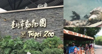 臺北木柵動物園｜臺北景點、全臺最大動物園、親子景點