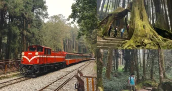 阿里山國家森林遊樂區｜嘉義景點、門票優惠、交通懶人包